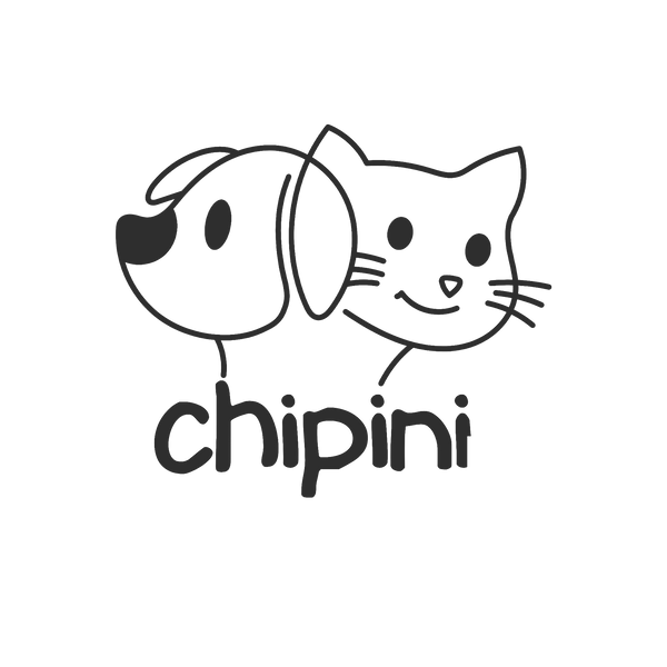 Chipini